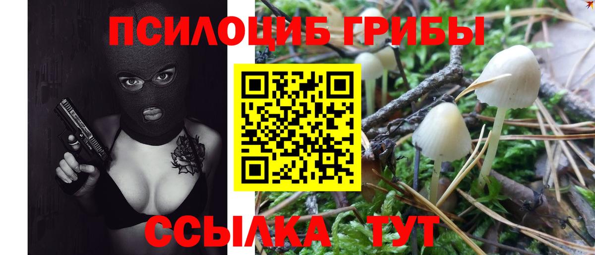 Галлюциногенные грибы ЛСД  Вход с VPN  Богородск 